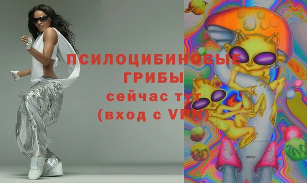 твердый Арсеньев
