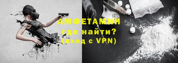 твердый Арсеньев