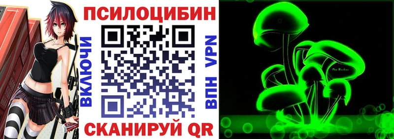 сколько стоит  omg как зайти  Псилоцибиновые грибы GOLDEN TEACHER  Шилка 