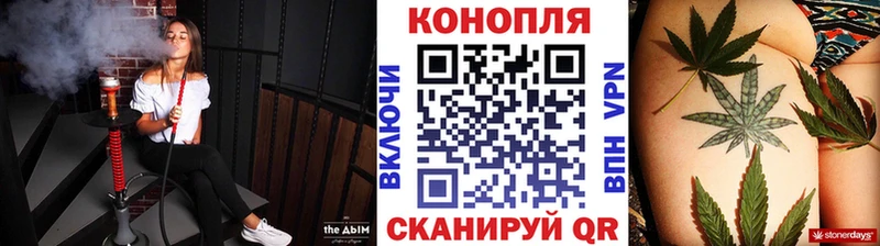 Канабис ГИДРОПОН  Шилка 